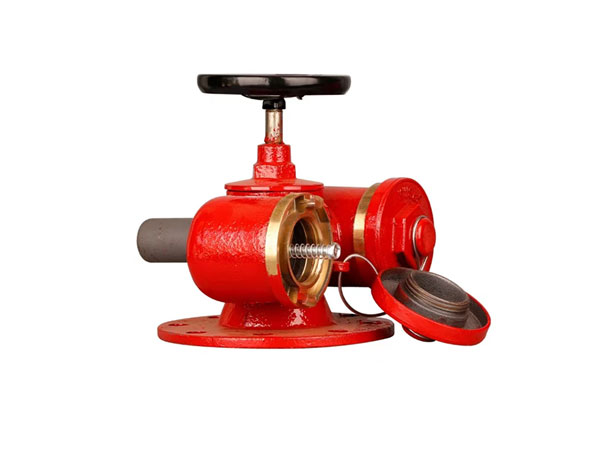 多功能水泵接合器